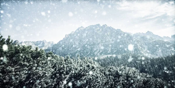 Nevadas en las montañas de Tatra en invierno —  Fotos de Stock