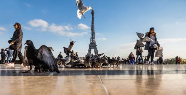 Trocadero Eyfel Kulesi'nden görünümünü