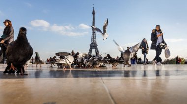 Trocadero Eyfel Kulesi'nden görünümünü