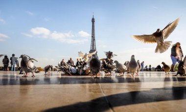 Trocadero Eyfel Kulesi'nden görünümünü