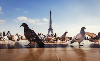 Trocadero Eyfel Kulesi'nden görünümünü