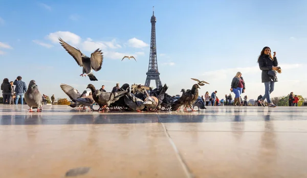 Vista da Torre Eiffel a partir do Trocadero — Fotografia de Stock