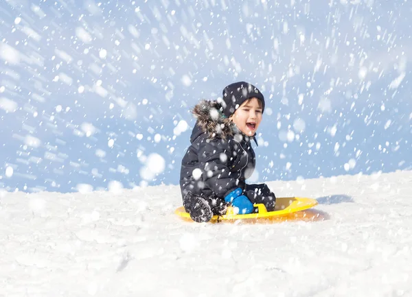 Luge en hiver — Photo