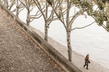 Paris'te Seine setin