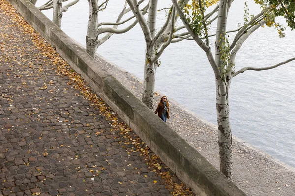 Seine embankment in Parijs — Stockfoto