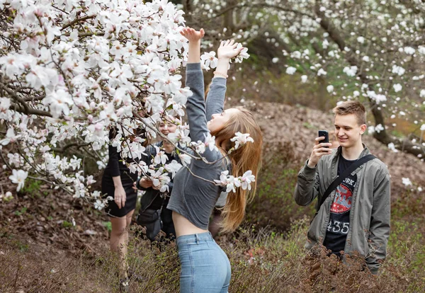 Blossom magnolia garden — Stock Photo, Image