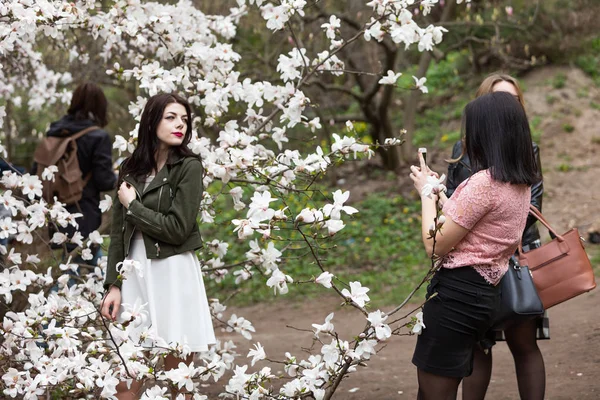 Blossom magnolia garden — Stock Photo, Image