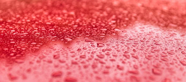 Gotas de lluvia sobre una superficie roja —  Fotos de Stock