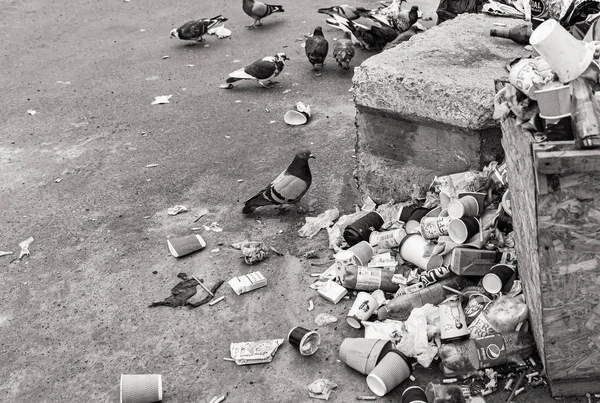 Müllberge auf den Straßen von Kyiw. — Stockfoto