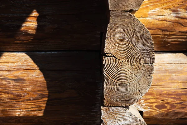 Holzwand aus Baumstämmen — Stockfoto
