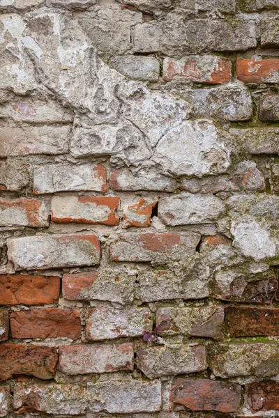 Pared de ladrillo envejecido con yeso agrietado — Foto de Stock