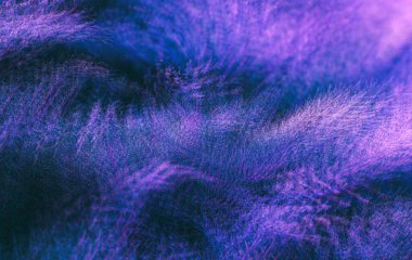 Doğal arka plan. Neon renkli ardıç çalılarının soyut bulanık görüntüsü. Çoklu pozlama resmi