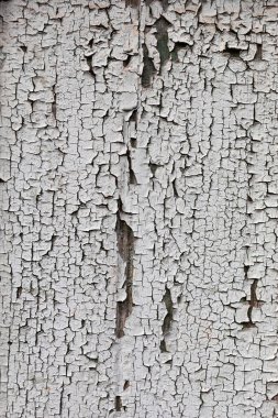 Ahşap bir kapı yüzeyindeki çatlak boya dokusu.