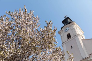 Bahar doğal arka plan. Çiçekli ağaçlar, beyaz çiçeklerle kilisenin arka planında