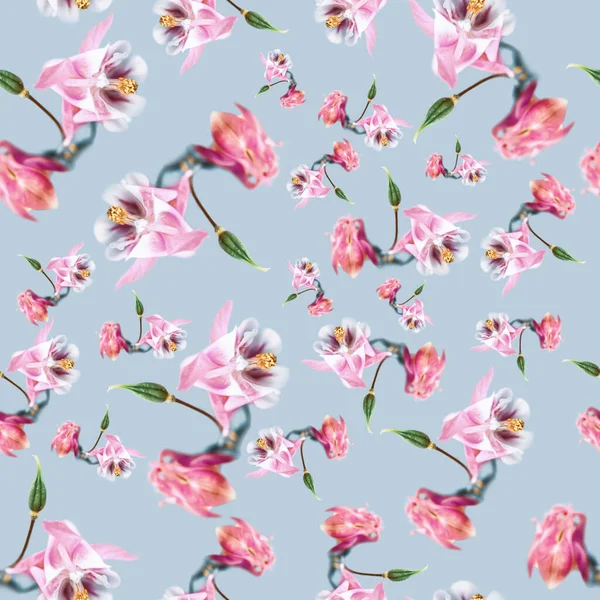 Hermoso Patrón Sin Costuras Fondo Floral Inconsútil Flores Acuilegia Rosadas —  Fotos de Stock