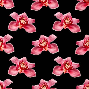 Orkide pürüzsüz desen. Kumaş, duvar kağıdı, ambalaj kağıdı olarak kullanılabilir..