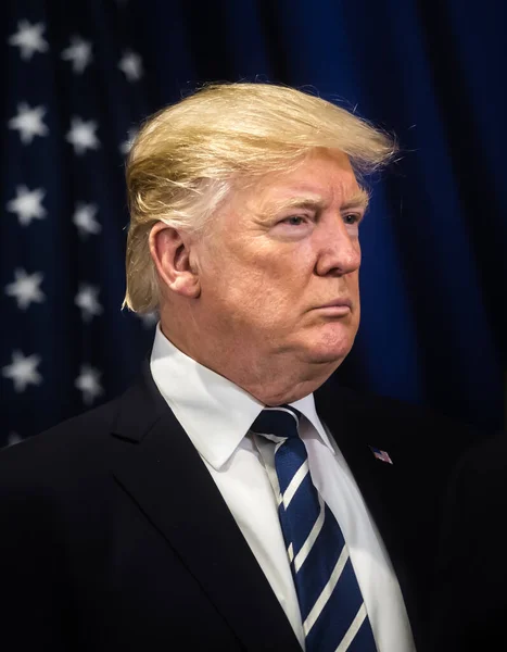 NEW YORK, ABD - 21 Eylül 2017: Ukrayna cumhurbaşkanıyla New York 'ta yaptığı görüşmede ABD Başkanı Donald Trump