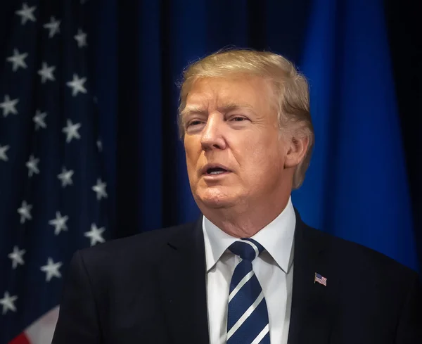 NEW YORK, ABD - 21 Eylül 2017: Ukrayna cumhurbaşkanıyla New York 'ta yaptığı görüşmede ABD Başkanı Donald Trump