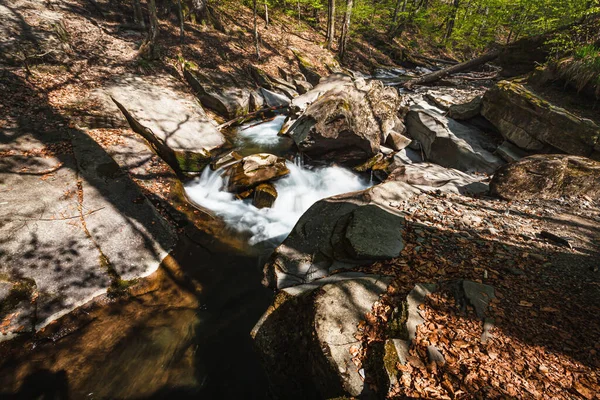 Mountain Stream Spring Forest Sunny Day — Stock Photo, Image