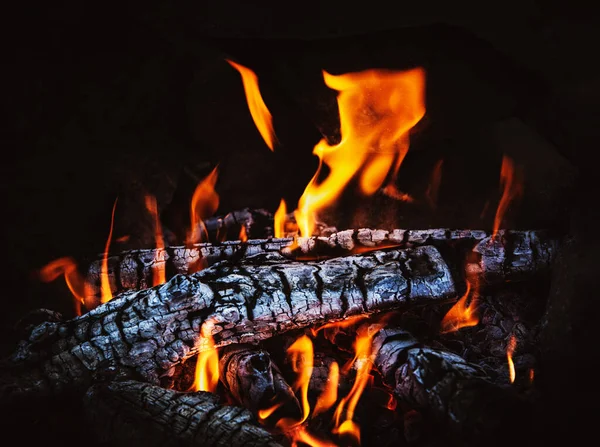 Wood Fire Ash Closeup Beautiful Fire Flames Charred Wood — Stock Photo, Image