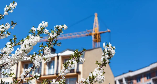 Conceito Construção Primavera Casa Nova Guindaste Construção Com Uma Primavera — Fotografia de Stock