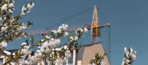 Vårens Och Det Nya Husbyggnadskonceptet Byggkran Med Fjäder Blommande Träd — Stockfoto