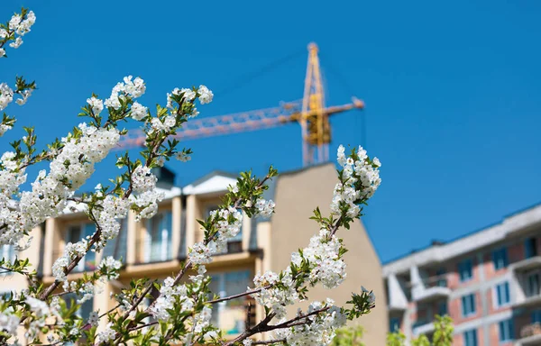 Conceito Construção Primavera Casa Nova Guindaste Construção Com Uma Primavera — Fotografia de Stock