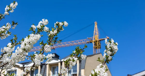 Tavaszi Ház Építési Koncepció Építőipari Daru Tavaszi Virágzó Fák Kék — Stock Fotó