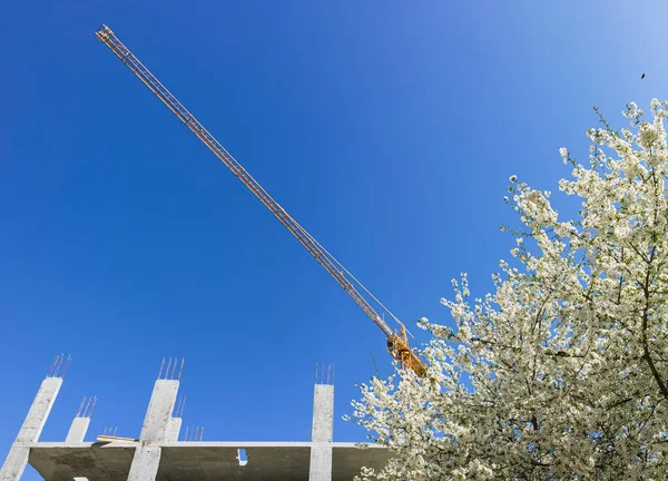 Vårens Och Det Nya Husbyggnadskonceptet Byggkran Med Fjäder Blommande Träd — Stockfoto