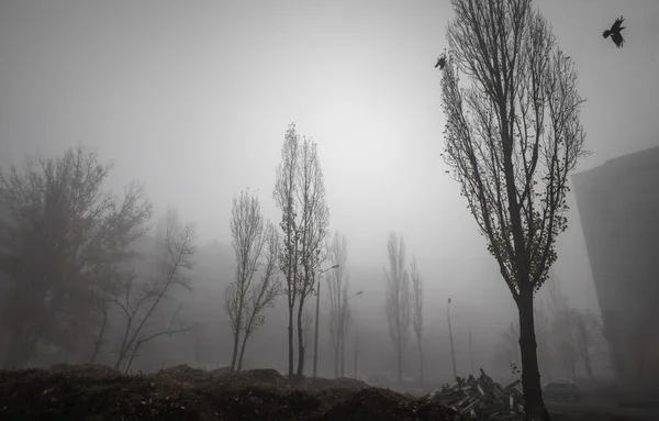 Ομιχλώδες Πρωινό Φθινοπώρου Στην Πόλη Οικολογική Έννοια Βαθιά Ομίχλη Στο — Φωτογραφία Αρχείου