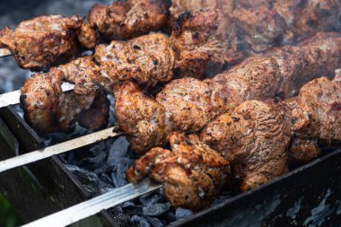 Şişte et. Salamura edilmiş şiş mangal ızgarasında mangal yapmaya hazırlanıyor. Şişte kızartılmış iştah açıcı et. Şiş kebap pişirmek. Kömürde ızgara domuz.