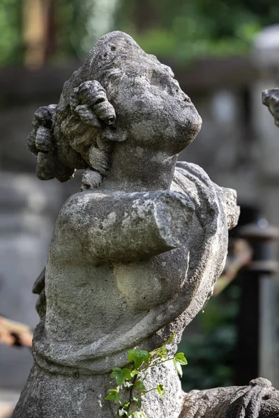 National Memorial Museum Lychakiv Cemetery Lviv Ukraine Inglés Antigua Estatua — Foto de Stock