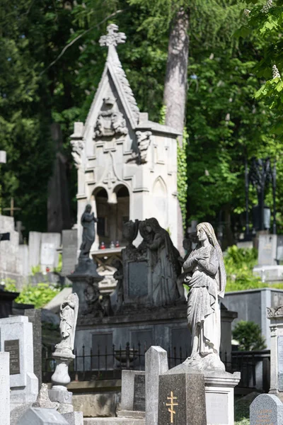 Lviv Ukraine May 2020 National Memorial Museum Lychakiv Cemetery — 图库照片
