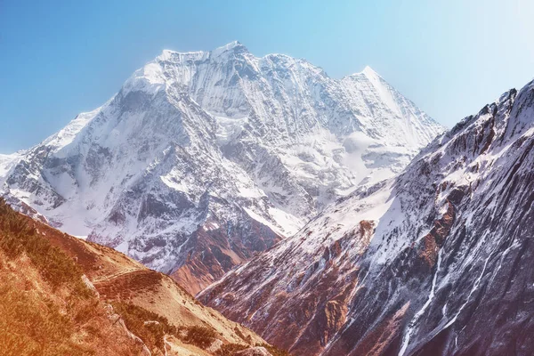 Vit snö berg peak — Stockfoto