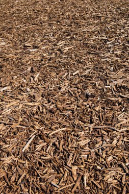 Bir cork ahşap doku bir zemin kompozisyon parçası yakın çekim.