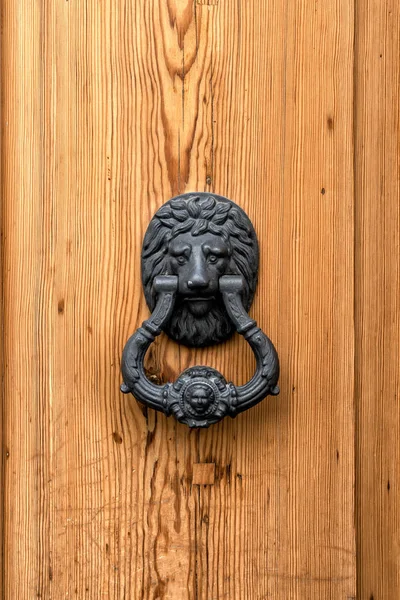 Λιοντάρι κεφάλι πόρτα ρόπτρο, vintage ξύλινη πόρτα, εξωτερικό. — Φωτογραφία Αρχείου