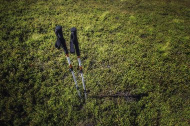 Sonbahar'da yürüyüş Avusturya Alpleri'nde. Trekking sopa portre.