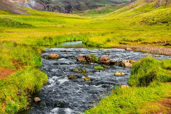 Удивительный ледяной природный ландшафт. Вид сверху. Высокие горы, горная река и зеленые леса. Зеленое мясо. Исландия. — стоковое фото