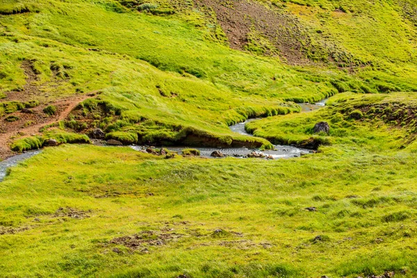 Wspaniały icelandyjski krajobraz przyrody. Widok z góry. Wysokie góry, górska rzeka i zielone łąki. Zielone łąki. Islandia. — Zdjęcie stockowe