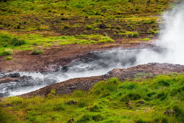 Wunderbare isländische Naturlandschaft. Hohe Berge, geothermaler Gebirgsfluss und grüne Wiesen. Schafe ruhen sich im Dampfhintergrund aus. — Stockfoto