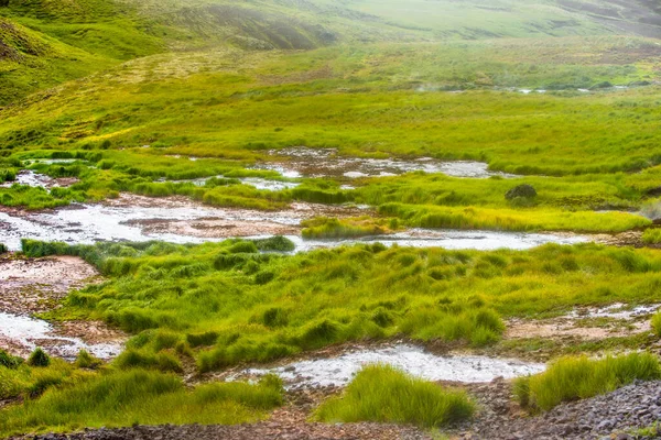 Wspaniały icelandyjski krajobraz przyrody. Wysokie góry, geotermalna górska rzeka i zielone użytki zielone. Owce odpoczywające w tle parowym. — Zdjęcie stockowe