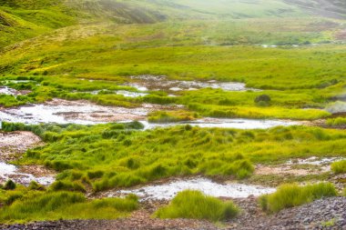 Muhteşem İzlanda doğa manzarası. Yüksek dağlar, jeotermal dağ nehri ve yeşil çayırlar. Buhar arka planında dinlenen koyunlar.
