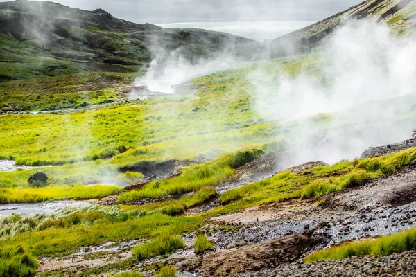 素晴らしいアイスランドの自然景観。高い山、地熱山の川と緑の草原。蒸気の背景で休む羊. — ストック写真