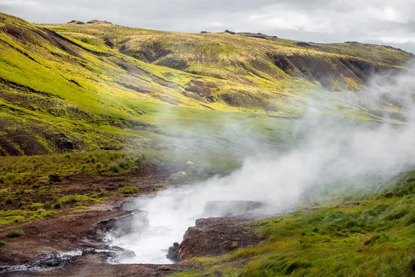 Wunderbare isländische Naturlandschaft. Hohe Berge, geothermaler Gebirgsfluss und grüne Wiesen. Schafe ruhen sich im Dampfhintergrund aus. — Stockfoto