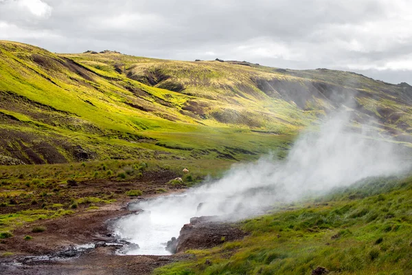 Wunderbare isländische Naturlandschaft. Hohe Berge, geothermaler Gebirgsfluss und grüne Wiesen. Schafe ruhen sich im Dampfhintergrund aus. — Stockfoto