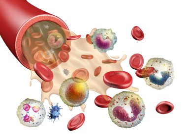 Different elements of human blood clipart