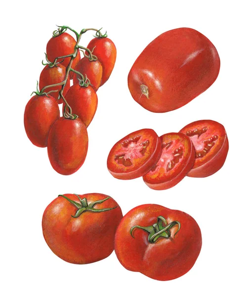 不同的番茄品种 — 图库照片