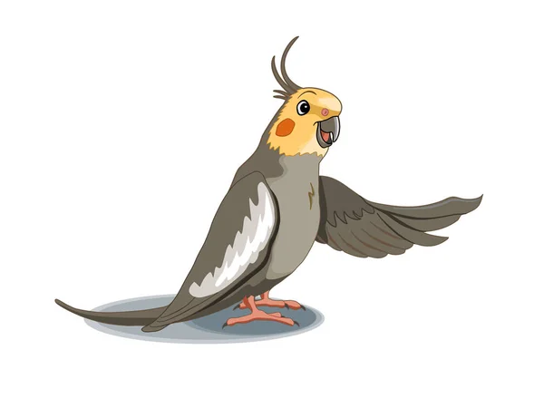 Desene animate cockatiel fericit — Vector de stoc