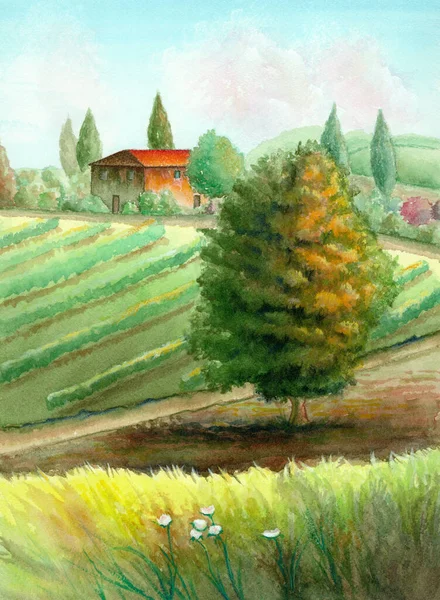 Watercolor rural landscape — Stock Photo, Image