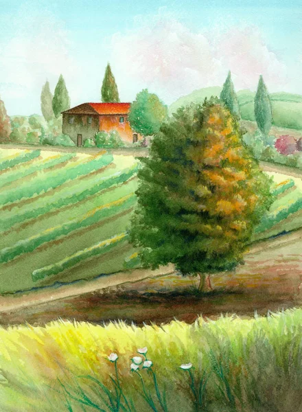 Watercolor rural landscape